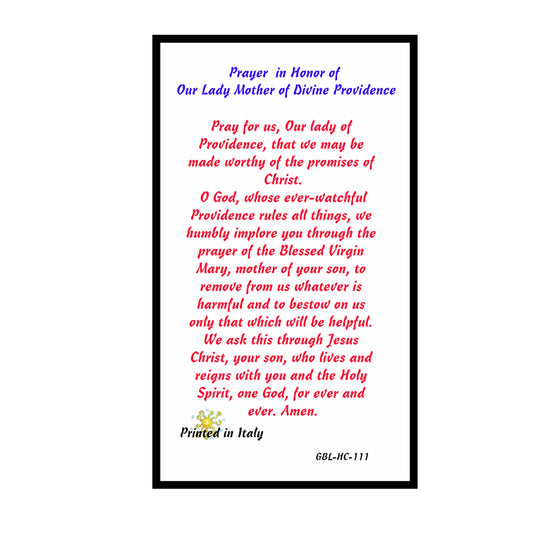 Our Lady Mother of Divine Providence Blessed By His Holiness Laminated Holy Card
