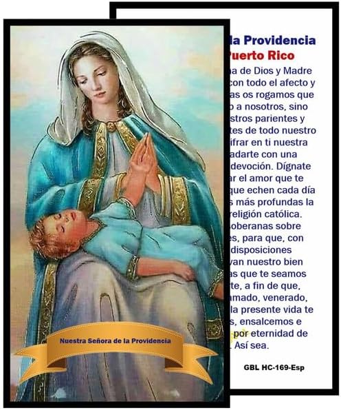 Nuestra Señora de la Divina Providencia Rosario Católico de Piedra Natural Tiger Eye, Cuentas de Oración con Crucifijo Plateado y Medalla Central, Cadena Resistente para Uso Diario y Regalos Religiosos