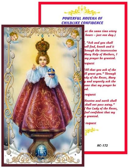 Infant Jesus of Prague Catholic Rosary with Natural Tiger Eye Beads, Silver Crucifix and Center Medal, English Prayer Card, Natural Stone Prayer Beads for Daily Prayer, Devotion & Gifting