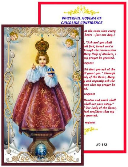 Infant Jesus of Prague Catholic Rosary with Natural Tiger Eye Beads, Silver Crucifix and Center Medal, English Prayer Card, Natural Stone Prayer Beads for Daily Prayer, Devotion & Gifting
