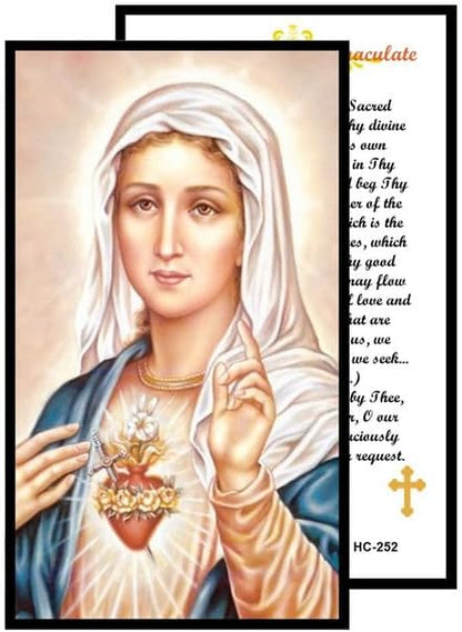 Immaculate Heart of Mary Catholic Rosary with Natural Tiger Eye Beads, Silver Crucifix and Center Medal, English Prayer Card, Natural Stone Prayer Beads for Daily Prayer, Devotion & Gifting