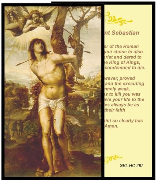 Saint Sebastian Catholic Rosary with Natural Tiger Eye Beads, Silver Crucifix and Center Medal, English Prayer Card, Natural Stone Prayer Beads for Daily Prayer, Devotion & Gifting