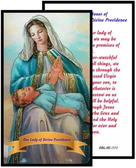 Our Lady of Divine Providence Catholic Rosary with Natural Tiger Eye Beads, Silver Crucifix and Center Medal, English Prayer Card, Natural Stone Prayer Beads for Daily Prayer, Devotion & Gifting